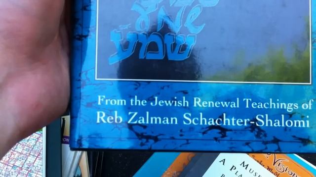 HUGE Book Sale Haul + Thrift Haul | Book Buying Strategies | How I Find So Many Books! смотреть онлайн