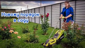 Навожу порядок в саду 🌼🌿🌲 Мой уход за розами и не только🌺🌹