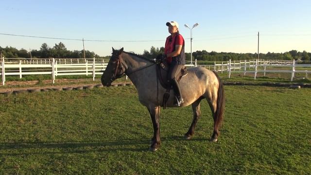 О постепенности в обучении. Шаг за шагом. смотреть онлайн
