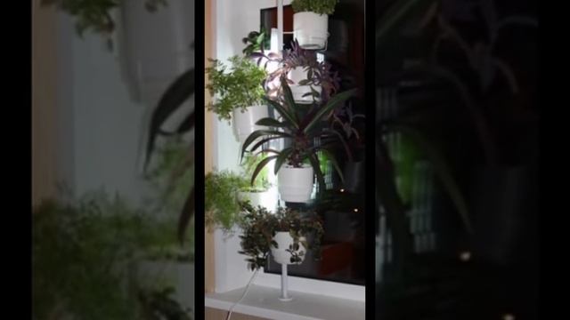 Стойки для цветов Флораформер смотреть онлайн