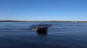 Флагман 420 ямаха 15