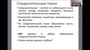 Ткани животных. Биофил || Подготовка к ЕГЭ, ОГЭ, ЦТ и ЕНТ по биологии.