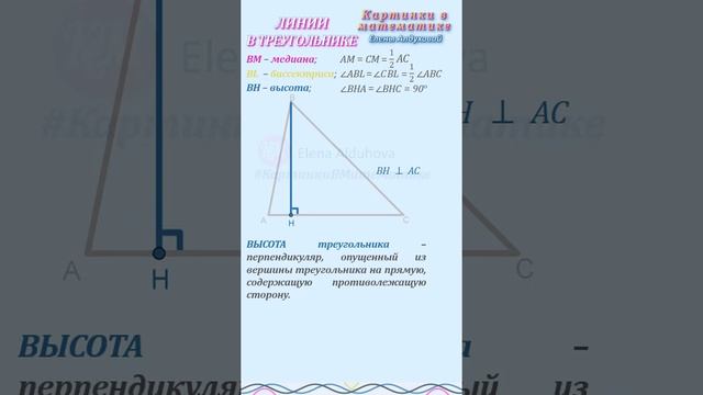 Медиана, биссектриса, высота  ✧  Признаки равнобедренного треугольника   #огэ #егэбаза  #геометрия