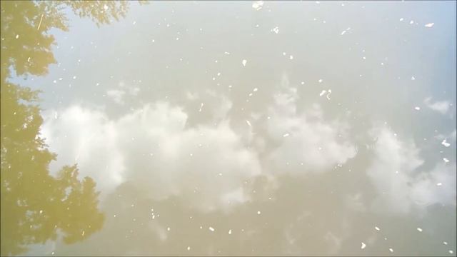 Требуется Женщина со Скрипкой! смотреть онлайн