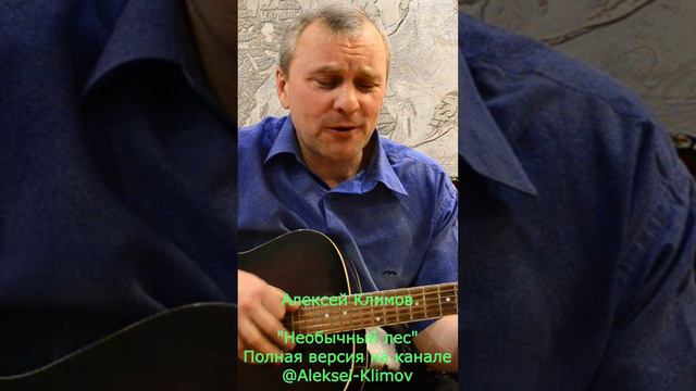 "Необычный лес" Авторская шуточная  песенка)) #гитара #музыка #автор #песня