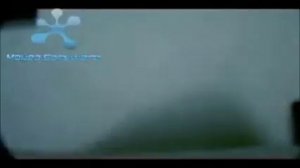 Si si si si no no no no