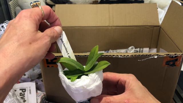 Unboxing 20,June 2022 смотреть онлайн