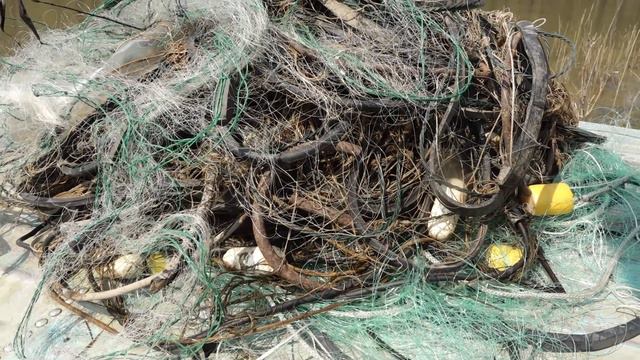 Экологическая акция «Всероссийский день без сетей» . Сузунский район. смотреть онлайн