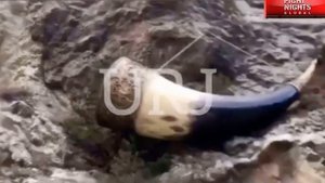ЧОРШАНБЕ ЧОРШАНБИЕВ И АЗИЗХАН ЧОРШАНБИЕВ ОТДЫХ И ТРЕНИРОВКИ 2021