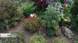 Территория Волгоградского ботанического сада может стать особо охраняемой