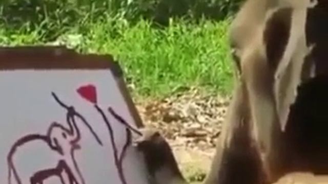 Слон умеет рисовать смотреть онлайн