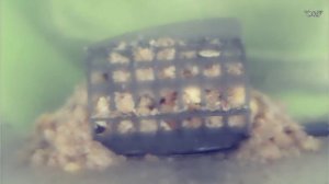 РАБОТА И РАСПАД НА ФРАКЦИИ ПРИКОРМКИ ДЛЯ РЫБАЛКИ НА ФИДЕР.ПРИКОРМКА ГЕЙЗЕР.