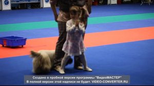 Танцы с собаками на выставке "Золотой ошейник" 2014