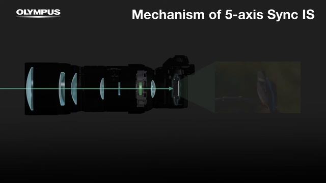 5 axis Sync Image Stabilization смотреть онлайн