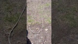 Зарядка на Мтз 80 МК(ставим генератор от москвича и реле)