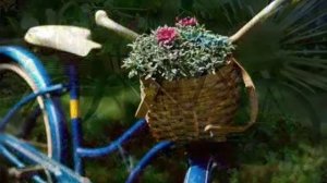 я буду долго гнать велосипед