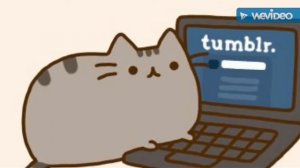 Котик пушин