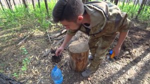 ЖАРА +32°. МОЙ ОГОРОД В ЛЕСУ. ВЫКОПАЛ ГРЯДКУ И КОЕ-ЧТО ПОСАДИЛ. ПРОДОЛЖАЮ СТРОИТЬ БЕСЕДКУ.