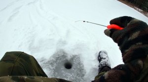 Плотва на безмотылку в глухозимье! 37 серия сериала