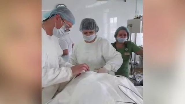Ринопластика с пластическим хирургом Олегом Стасевичем