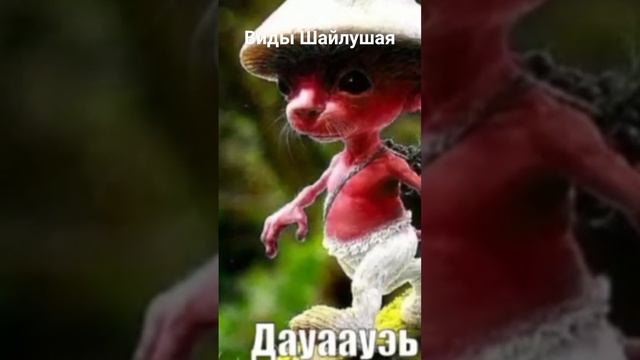 виды Шайлушая!!! #шайлушай #мем #мемы