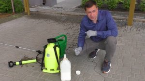 Как удалить СОРНЯКИ на газоне? Когда и чем обработать? ПОДРОБНАЯ ИНСТРУКЦИЯ. Одуванчики на газоне.