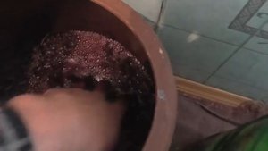 МЕЗГА ЗАБРОДИЛА на четвёртый день