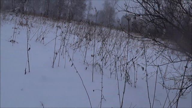 Охота на зайца с Эстонской гончей!!!Часть 4я смотреть онлайн