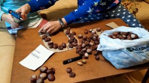 Лошадка из каштанов. Осенние поделки. Horse made of chestnuts. Autumn crafts.