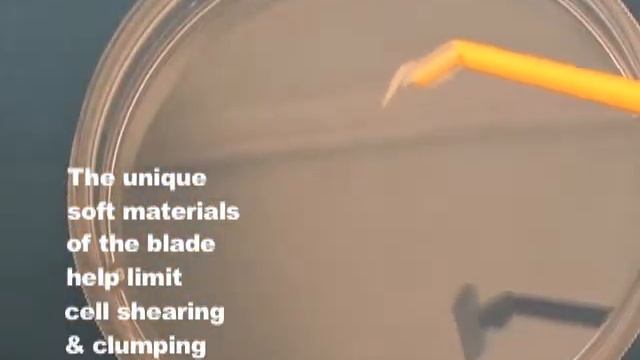 Культуральные скребки и шпатель TPP Scraper, English, www.tpp.ch смотреть онлайн