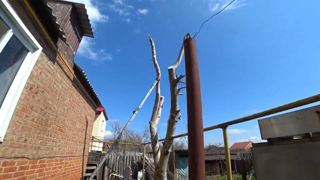 Спил дерева над газ трубой и крышей дома смотреть онлайн