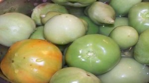 ДОЗАРИВАНИЕ ТОМАТОВ зеленых и бурых