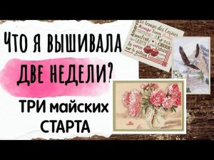 154. Продвижения за ДВЕ НЕДЕЛИ | Три майских старта | Вышивка крестом