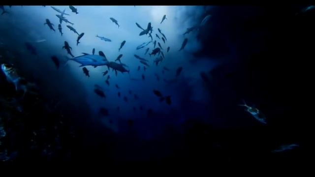 аттракцион на детский праздник виртуальная реальность в томске смотреть онлайн