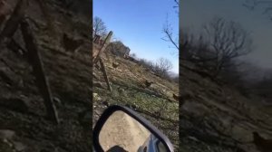 Керкенч 2019-2020 год