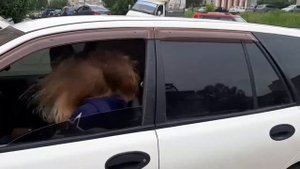 Pride s18v2 от Ural PT 1.4000 на 25 Гц