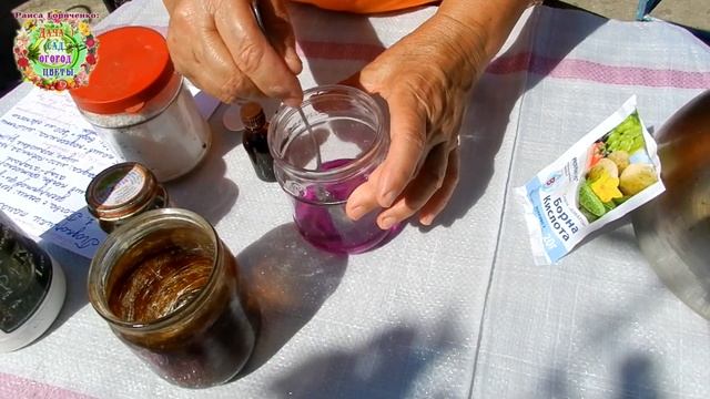 Простой и доступный способ защиты картофеля от болезней и полезная подкормка - все в одной банке