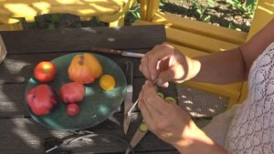 6 соток 1 августа 2023 года. Хроника. Уборка лука репки.