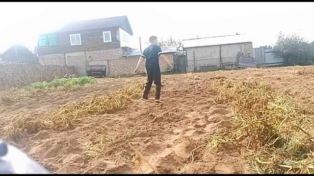 Готовлю пиццу#Копаем картошку. смотреть онлайн