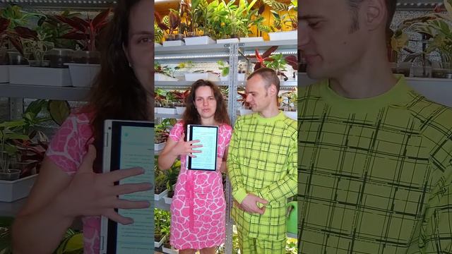 Организация места для выращивания растений и рассады.