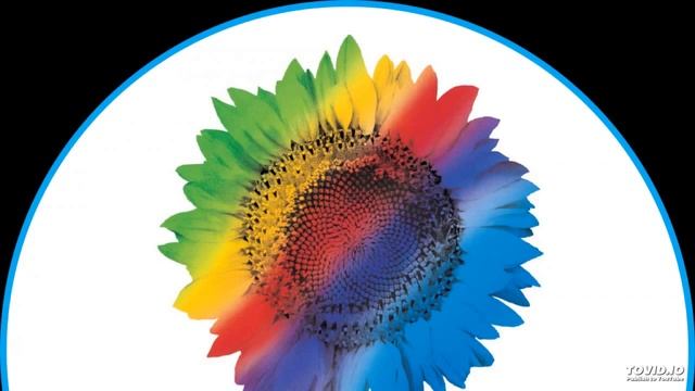 Wipro Telephonic interview questions on SQL and PLSQL for Data Analyst position