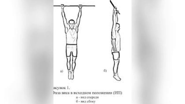 Вис на турнике - польза смотреть онлайн