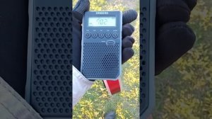 Sangean DT800, впечатления