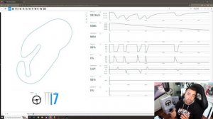 Como conducir el BMW LMDH de iRacing