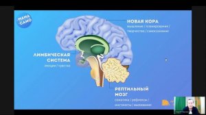 Саморегуляция у детей: как устроена и как развивать? | Наталья Соломахо и Сергей Гаркави