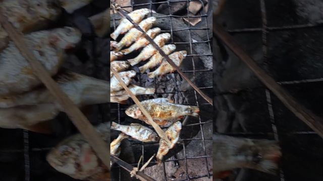 wow grill fishes at the countryside #countryside #satisfying #primitiveliffe #ricedish #fishing