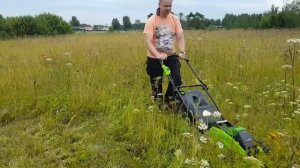 Жёсткий тест газонокосилок Greenworks