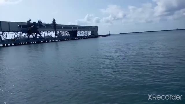 Туапсе. Морская рыбалка. Платановый бульвар. Морской порт. Кормим Дружка. Фонтан ⛲ Лазаревское Сочи смотреть онлайн