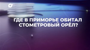 Знай свой край / Белый орёл