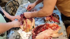 Муж учит разделывать (потрошить) гуся 🦆🦆Деревенская жизнь || Как потрошить (разделывать) гуся.
